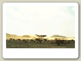 img767