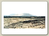 img768